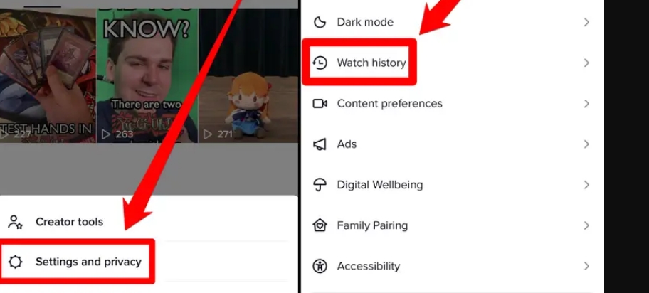 tiktok watch history